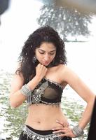 Tamanna Hot Exposing Stills